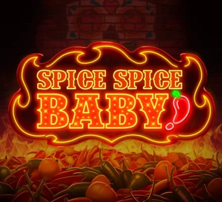 Spice Spice Baby! játékborító
